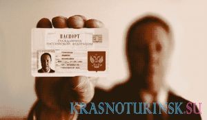 Электронные паспорта дадут казне 20 млрд рублей