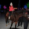 Катания на лошадях в Новогодние праздники в Краснотурьинске и Карпинске