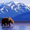 Петиция о присоединении Аляски к РФ набрала более 30 тысяч голосов