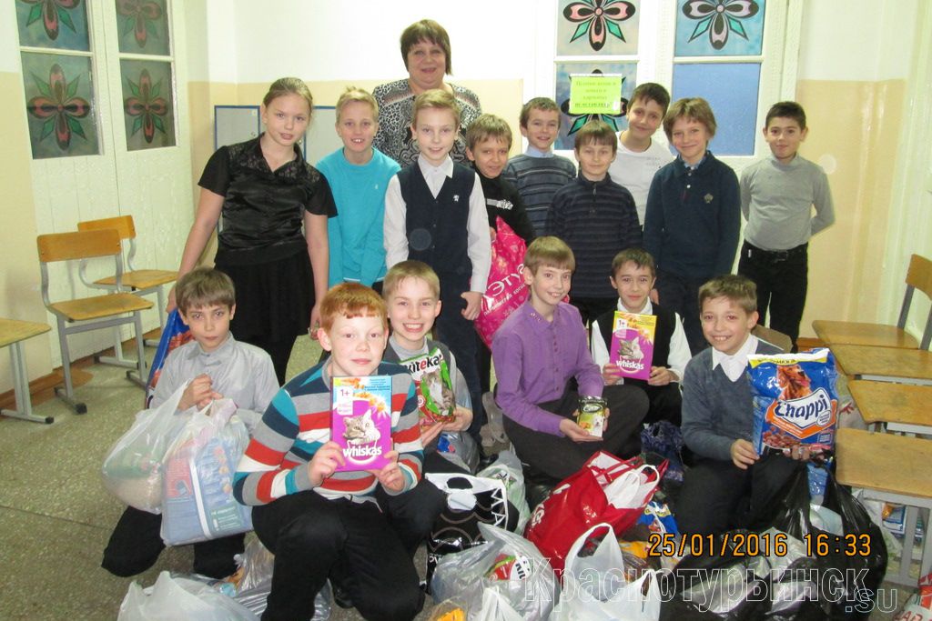 В краснотурьинской школе №23 школьники и учителя протянули руку помощи "Лапе помощи"