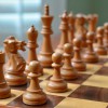 В Карпинске прошло Личное первенство Северного УО по шахматам среди ребят 9-15 лет