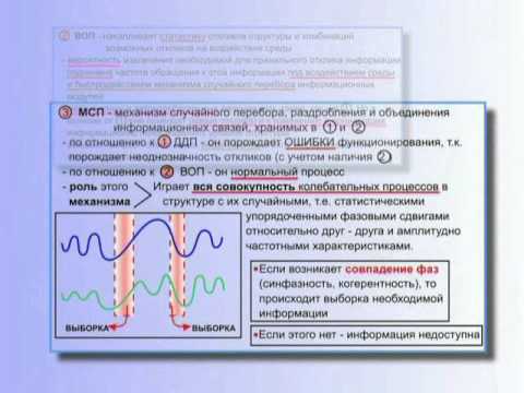 Смотреть КОБ - Описание Работы Интеллекта